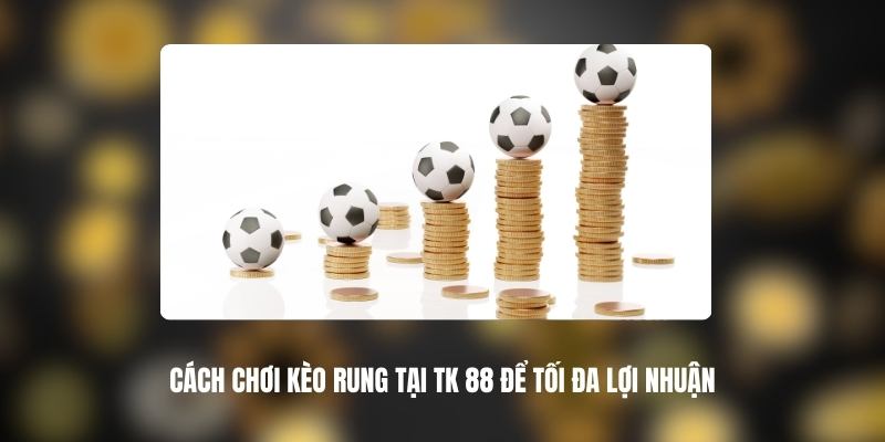 789bet 9