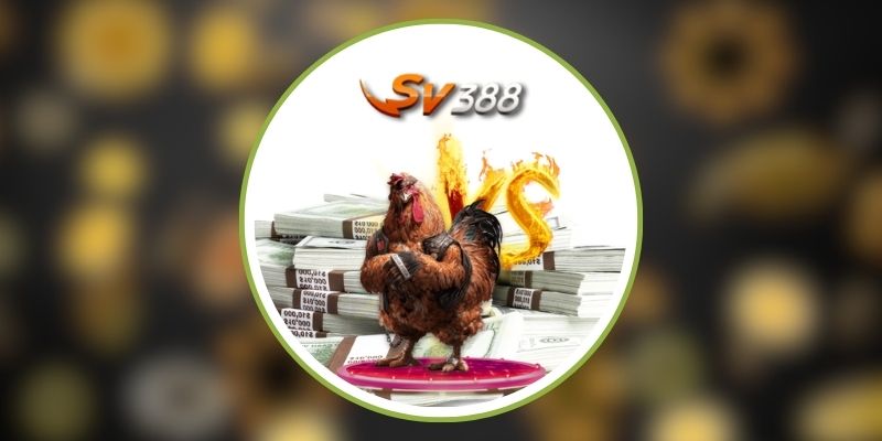 Giao Diện Mới Sv388 Có Gì Khác Biệt So Với Phiên Bản Cũ? 2 sv388-64